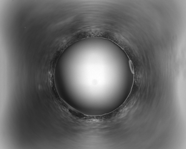 X0000095131010200712211325