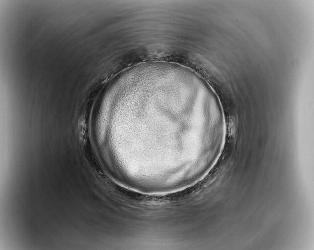 X0000095131011200712211325