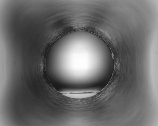 X0000095131012200712211325