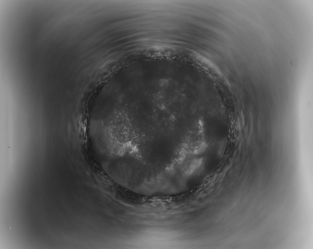 X0000095131013200712211325