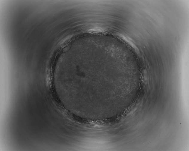 X0000095131015200712211325