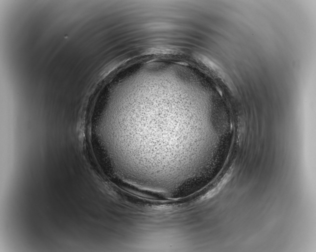 X0000095131017200712211325