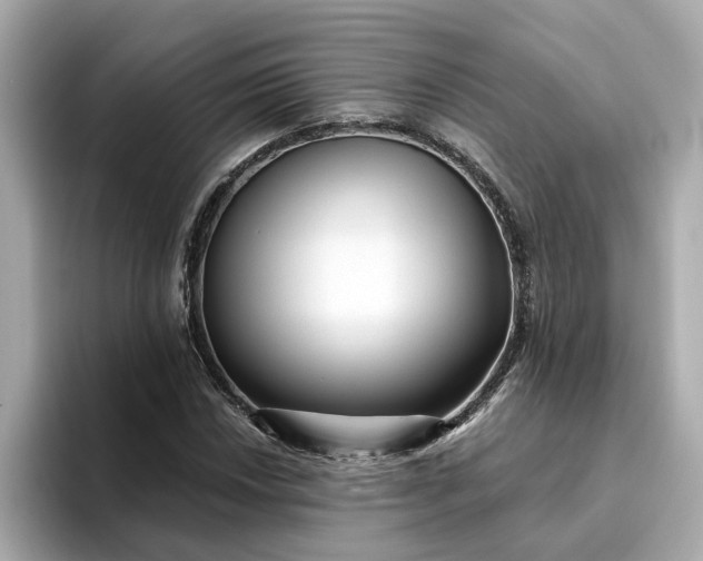 X0000095131018200712211325