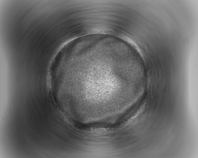 X0000095131019200712211325