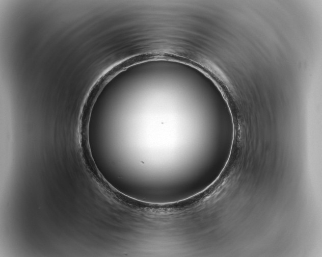 X0000095131020200712211325