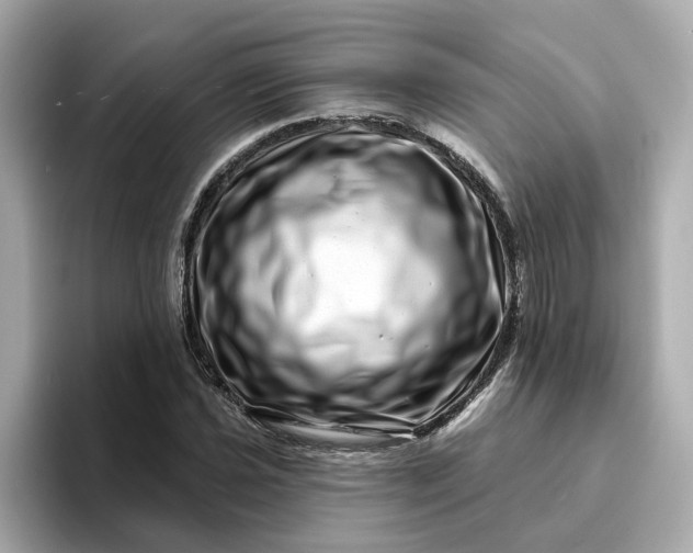 X0000095131021200712211325