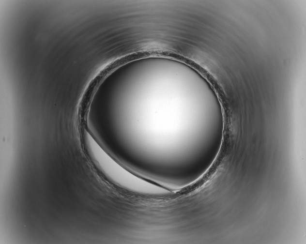 X0000095131022200712211325