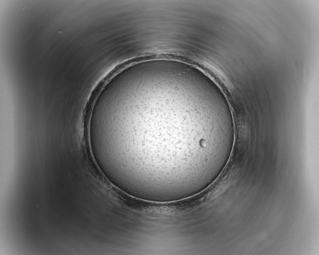 X0000095131023200712211325