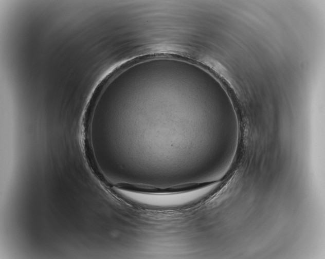 X0000095131024200712211325