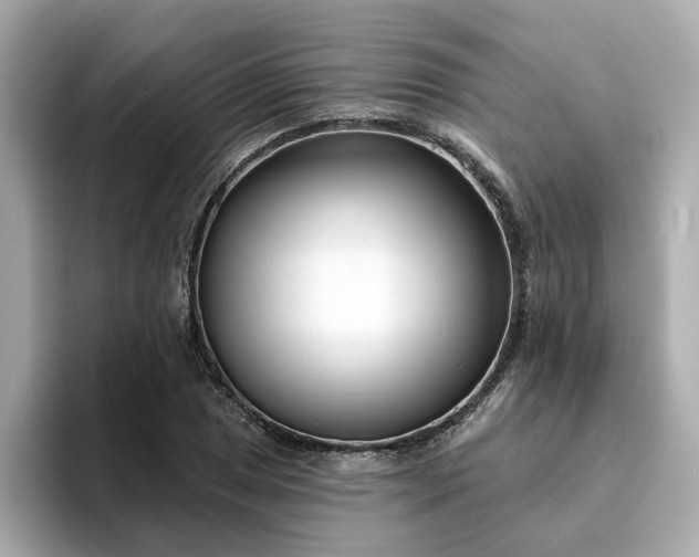 X0000095131025200712211325