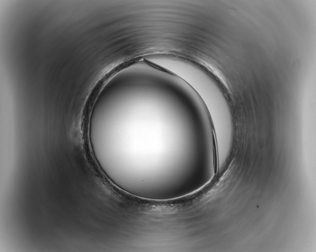 X0000095131026200712211325