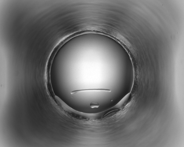 X0000095131028200712211326