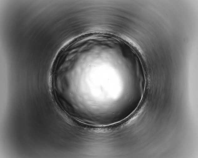 X0000095131029200712211326