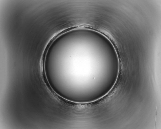 X0000095131032200712211326