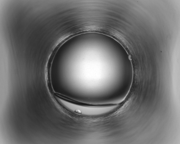 X0000095131034200712211326