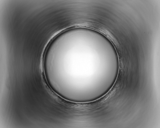 X0000095131036200712211326