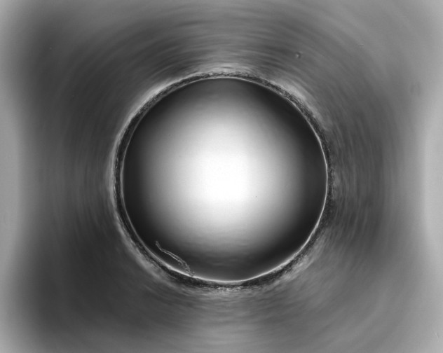 X0000095131038200712211326