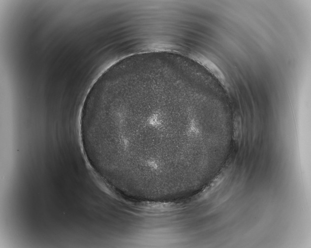 X0000095131039200712211326