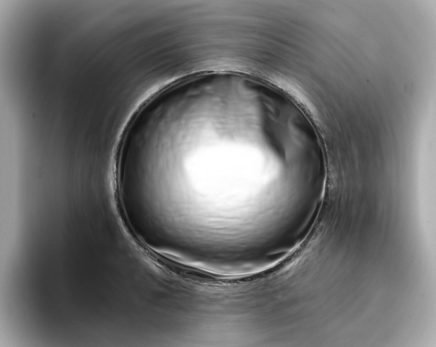 X0000095131040200712211326