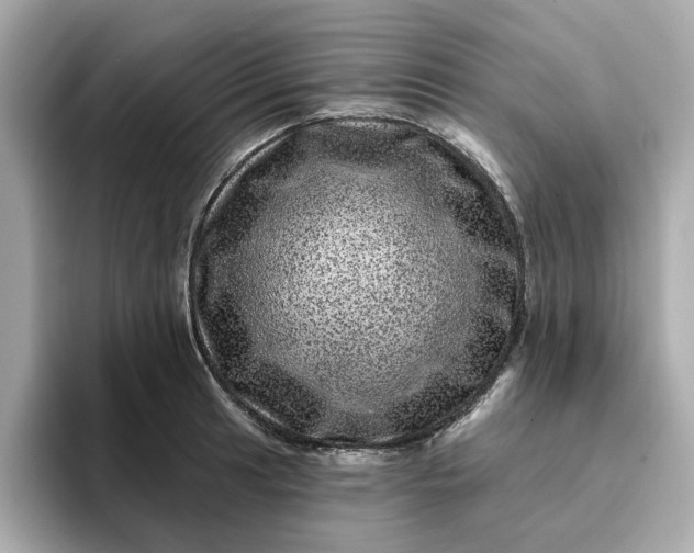 X0000095131041200712211326