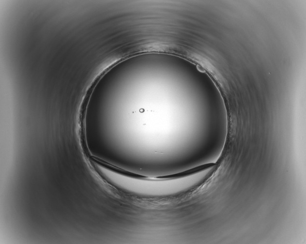 X0000095131042200712211326