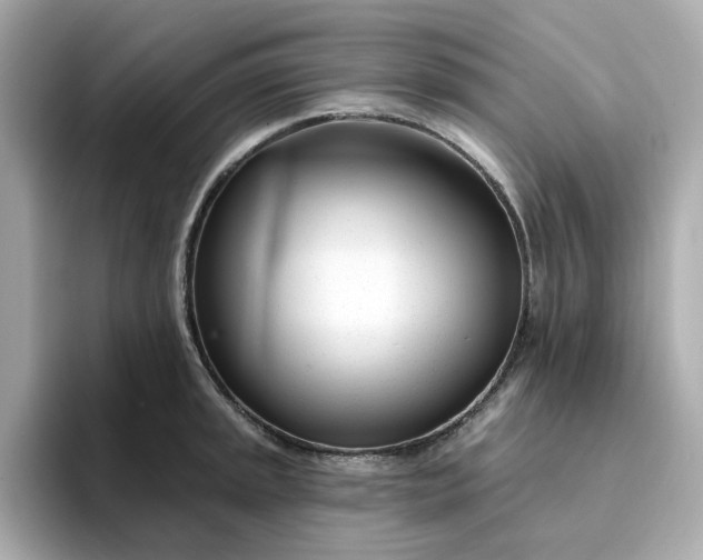 X0000095131045200712211326