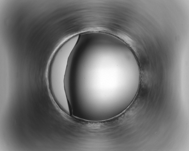 X0000095131046200712211326