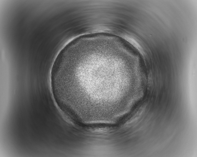 X0000095131047200712211326