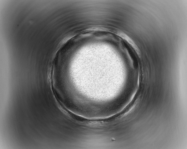 X0000095131049200712211326