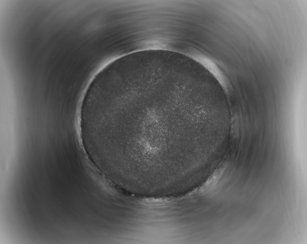 X0000095131051200712211326