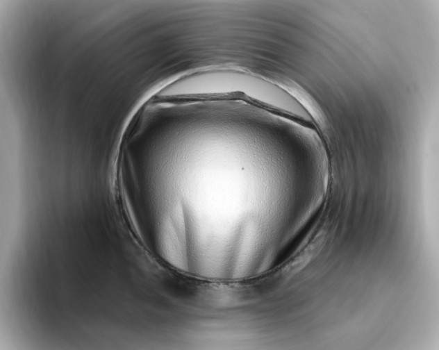 X0000095131052200712211326