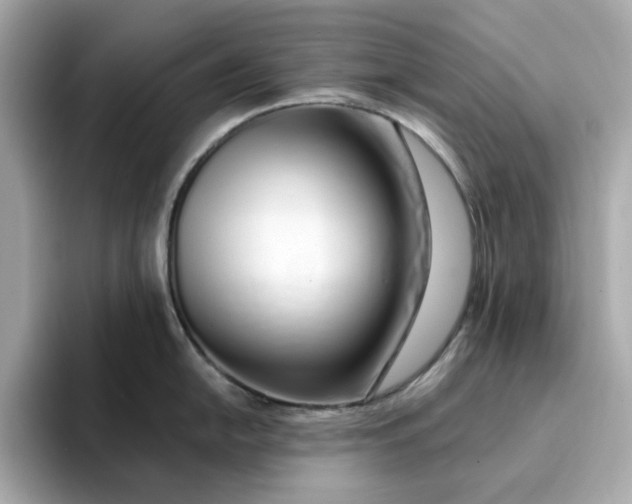 X0000095131054200712211326