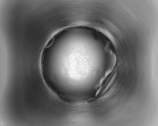 X0000095131055200712211326