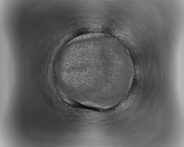 X0000095131057200712211325