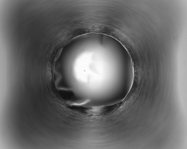 X0000095131058200712211325