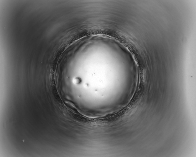 X0000095131059200712211325