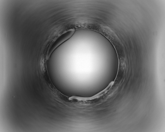 X0000095131060200712211325