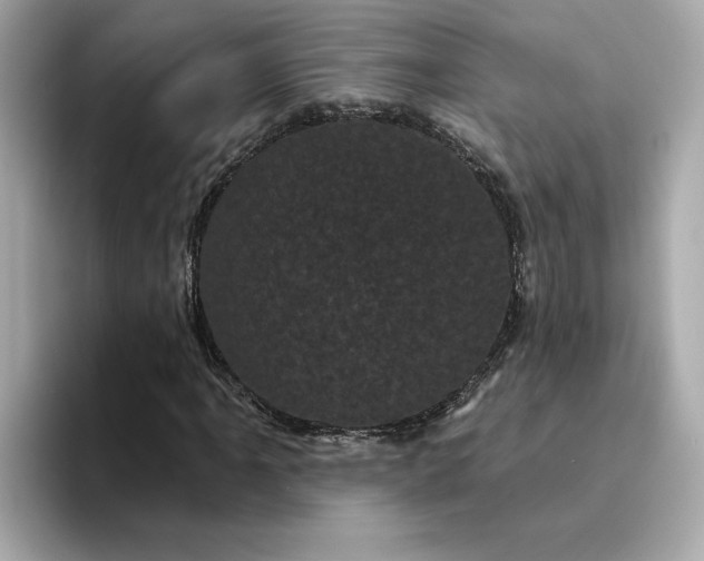 X0000095131061200712211325