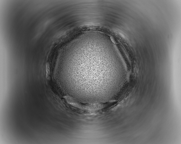 X0000095131062200712211325