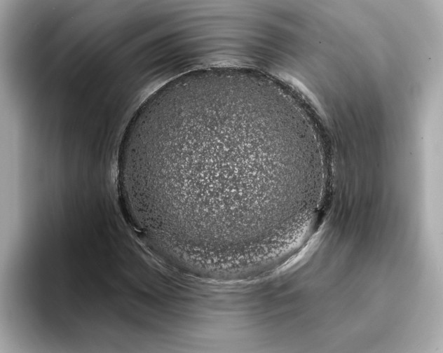 X0000095131065200712211325