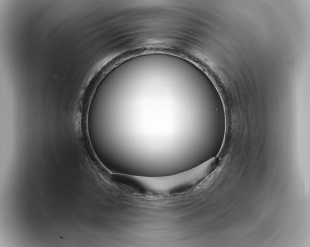 X0000095131066200712211325