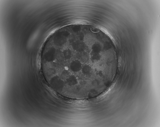 X0000095131067200712211325