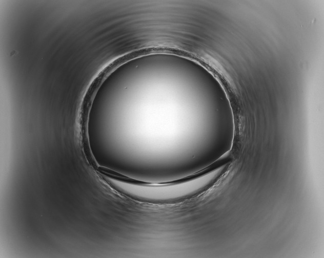 X0000095131068200712211325