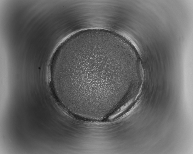 X0000095131069200712211325