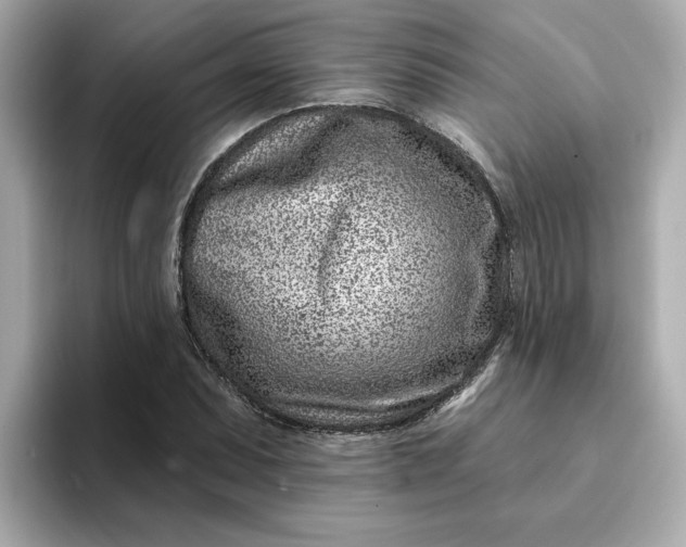 X0000095131071200712211325