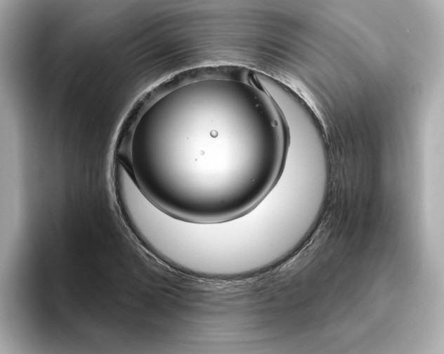 X0000095131072200712211325