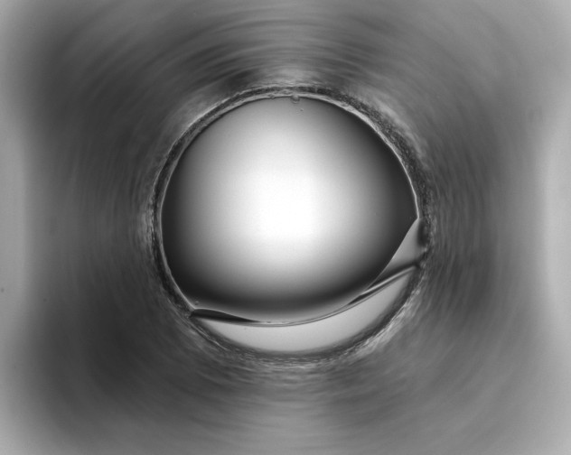 X0000095131073200712211325