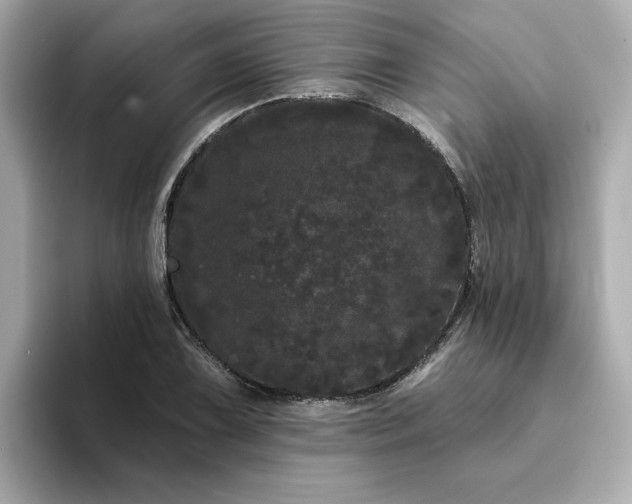 X0000095131075200712211325