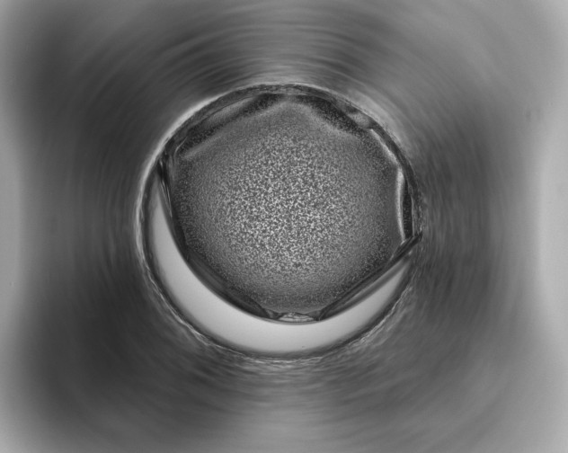 X0000095131076200712211325