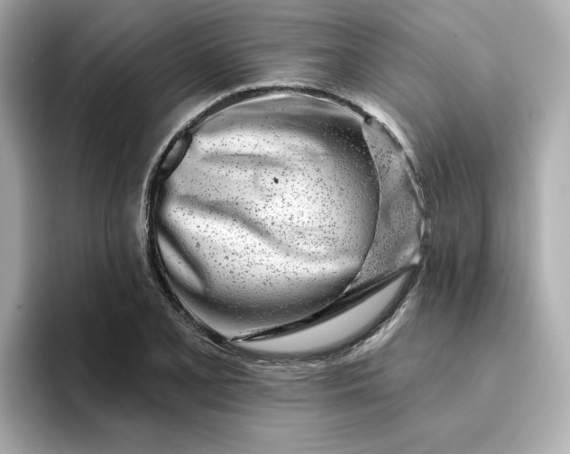 X0000095131077200712211325